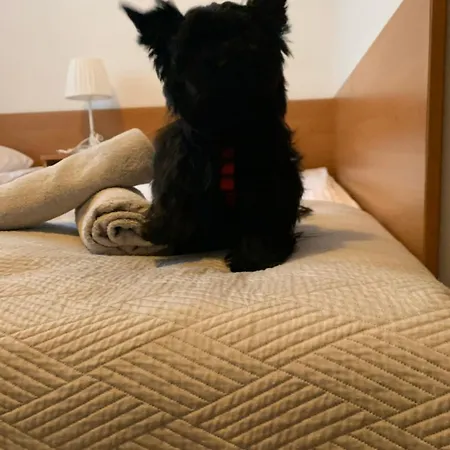 Melodia Guest house *